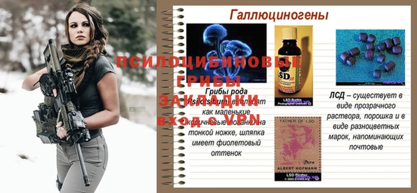 спайс Россошь